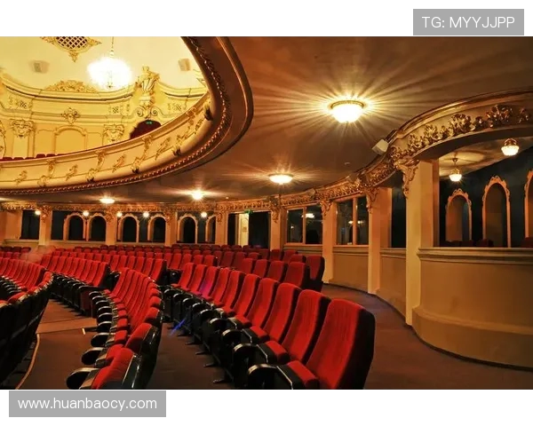 莱奥的成长之路:从少年梦想到世界舞台的辉煌历程